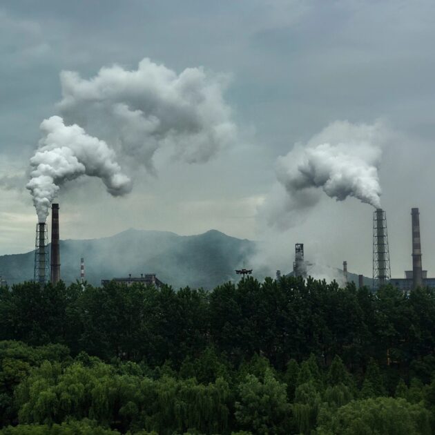 uhlíková neutralita